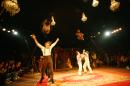 le chant du dindon 063 * 4368 x 2912 * (6.65MB)